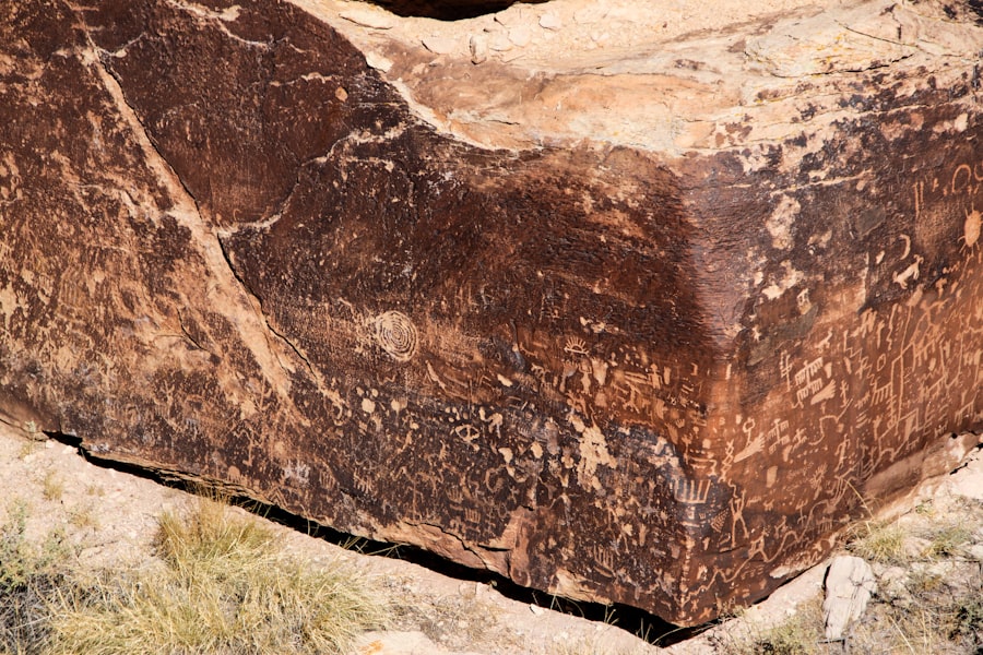 archaeological record