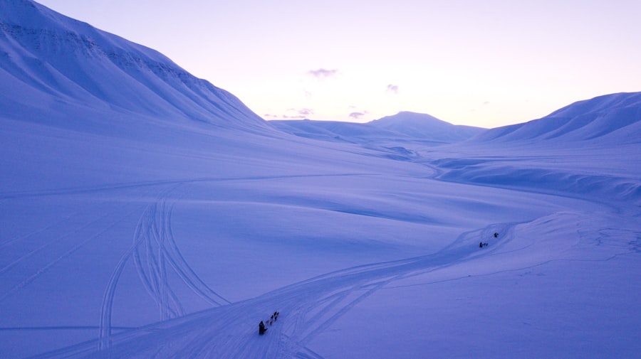 Photo arctic maps