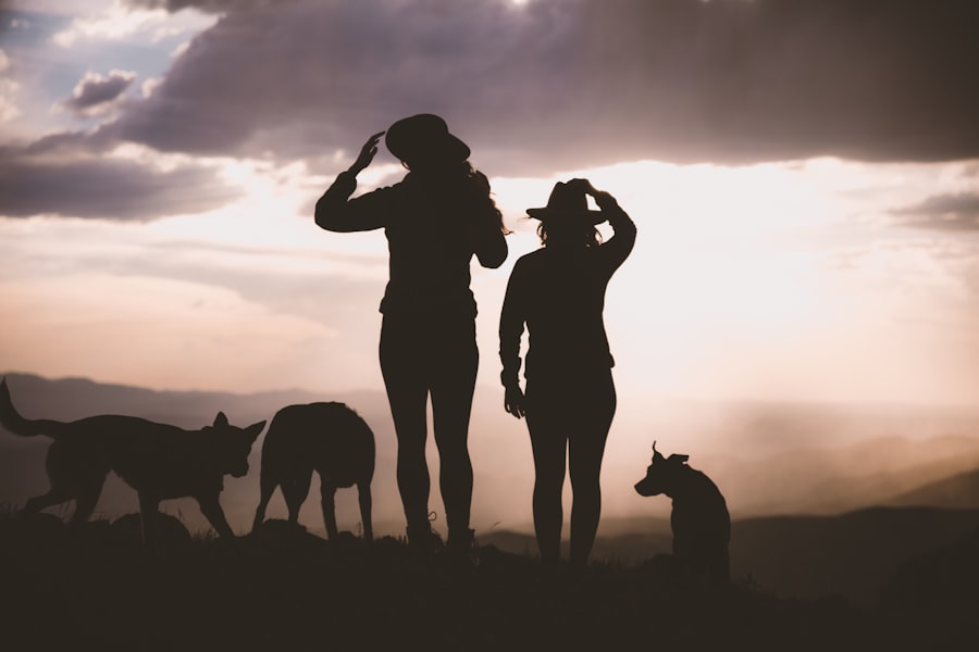 Photo scattering family mystery