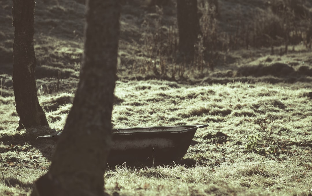 Photo mysteries