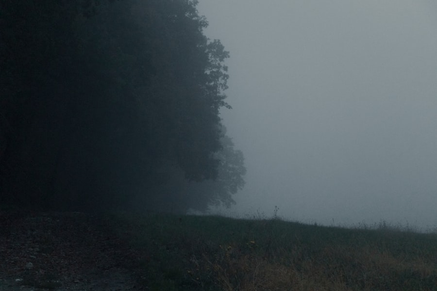 Photo mysteries