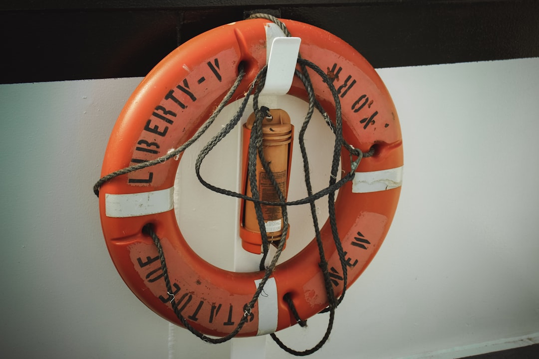 Photo lifeboat theory