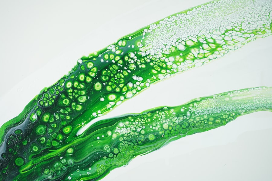 Photo phytoplankton collapse