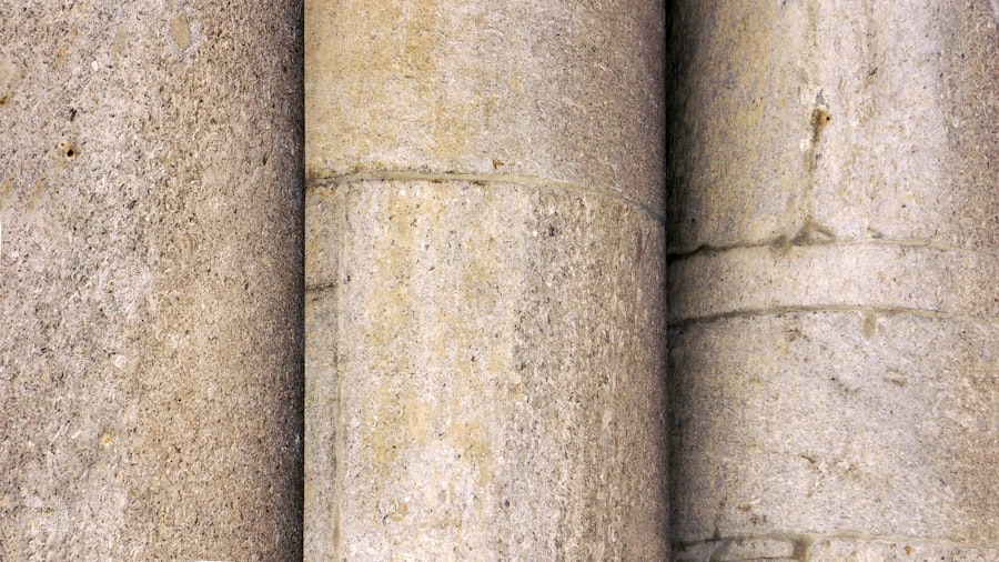 sediment cores
