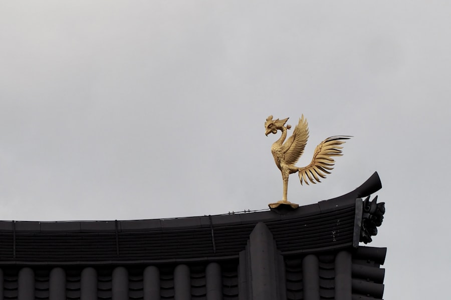 phoenix, feed