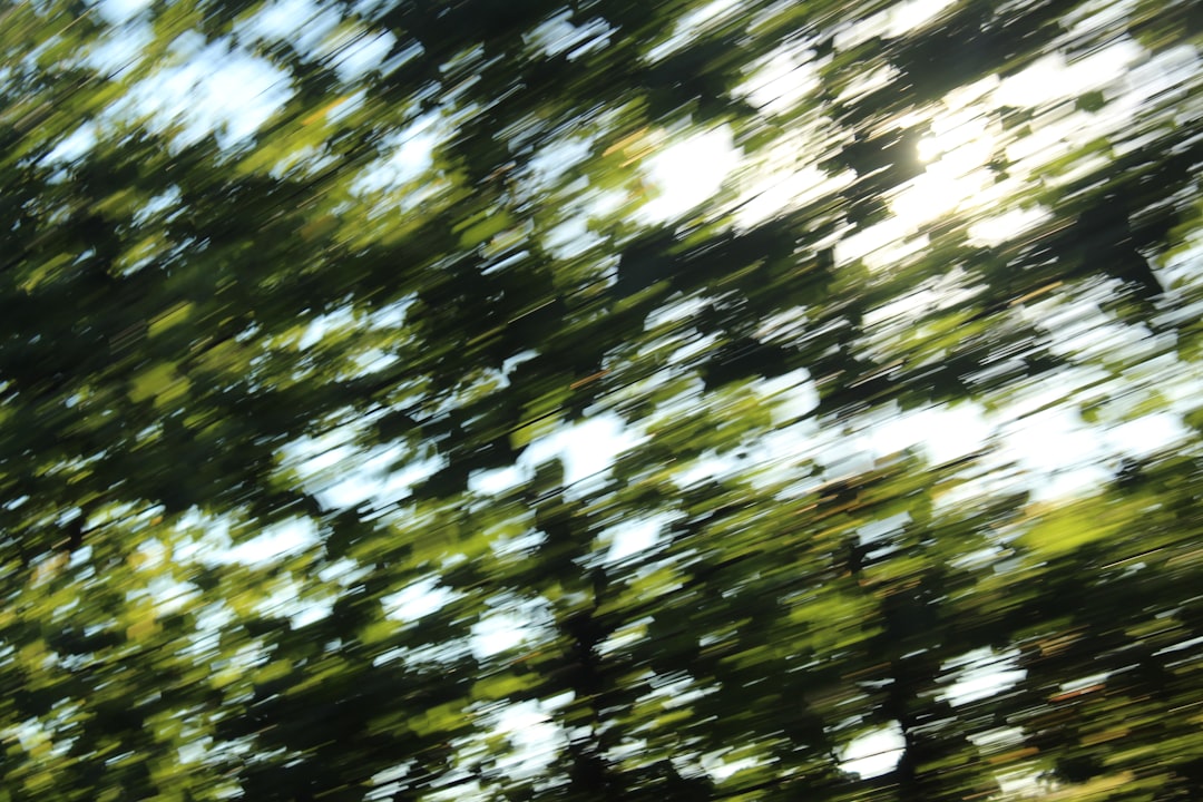 Photo movement