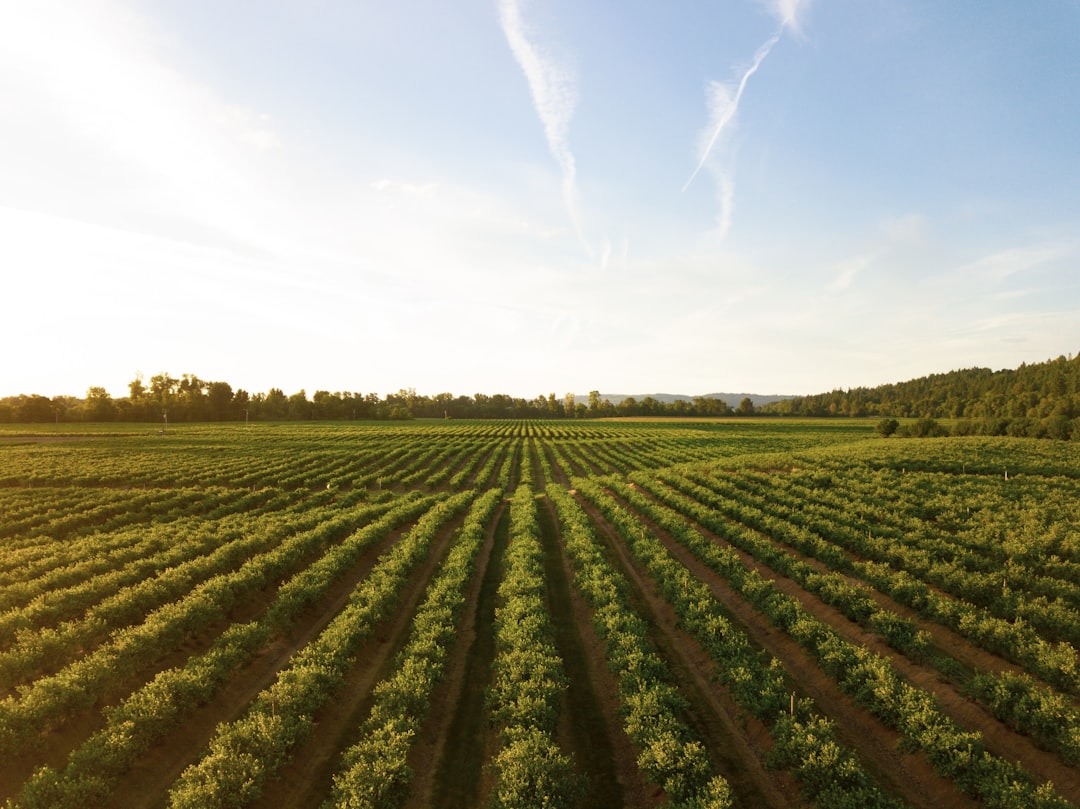 Photo cities, farms