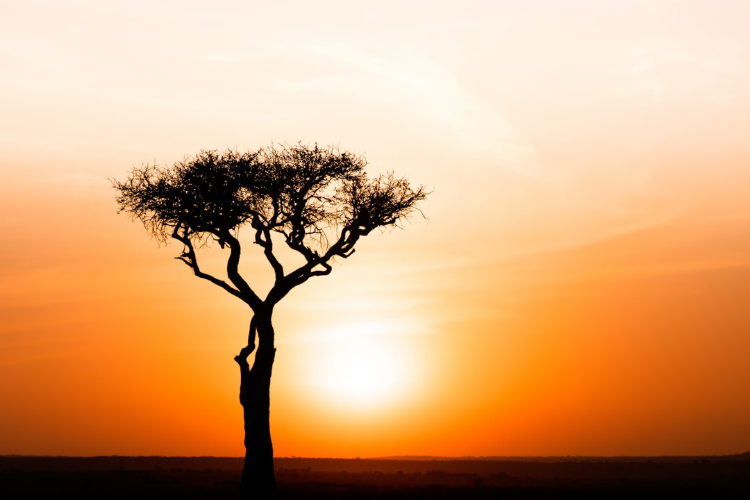 Photo African Humid Period