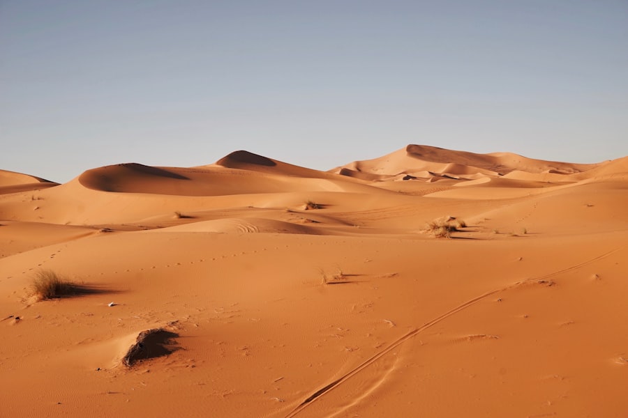 Photo Sahara Desert