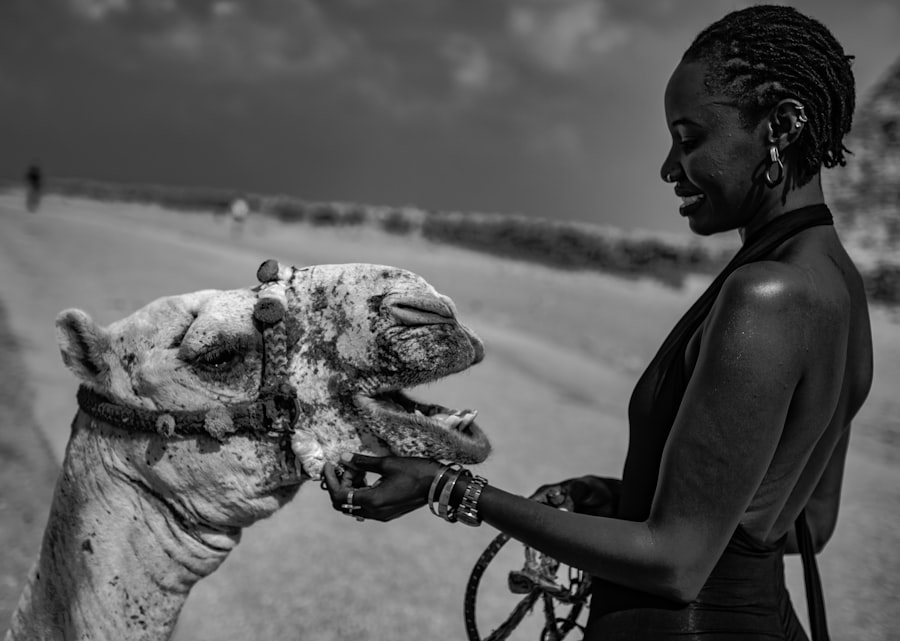 Photo Sahara documentary