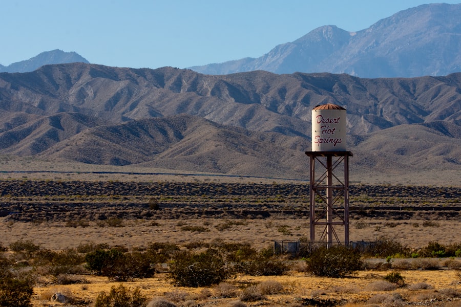 Photo Desert Pump hypothesis