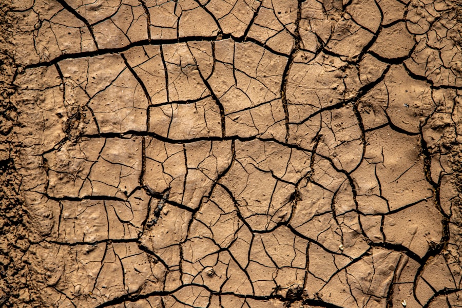 Photo desertification