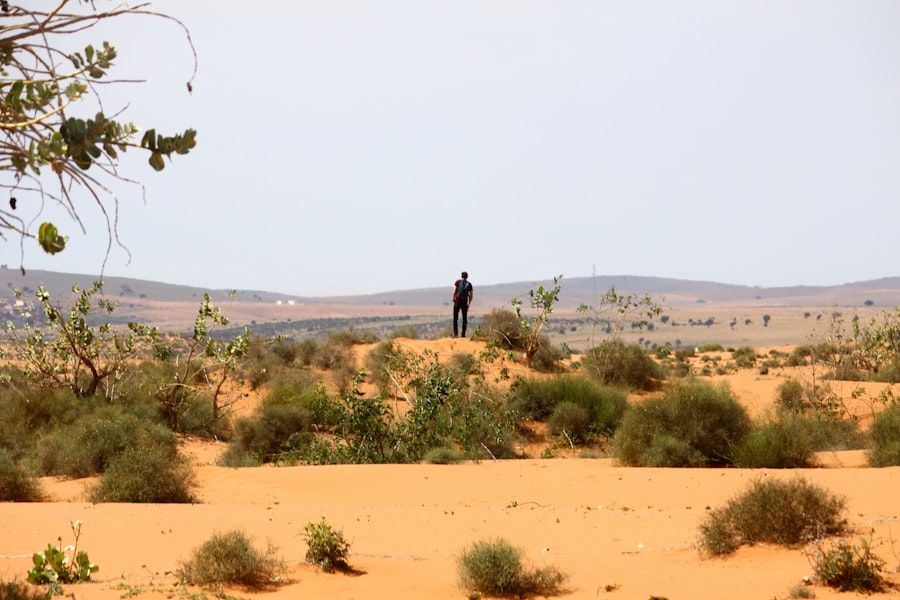Photo North Africa