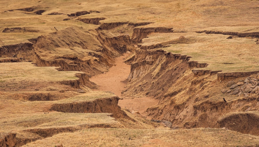 Photo Younger Dryas boundary