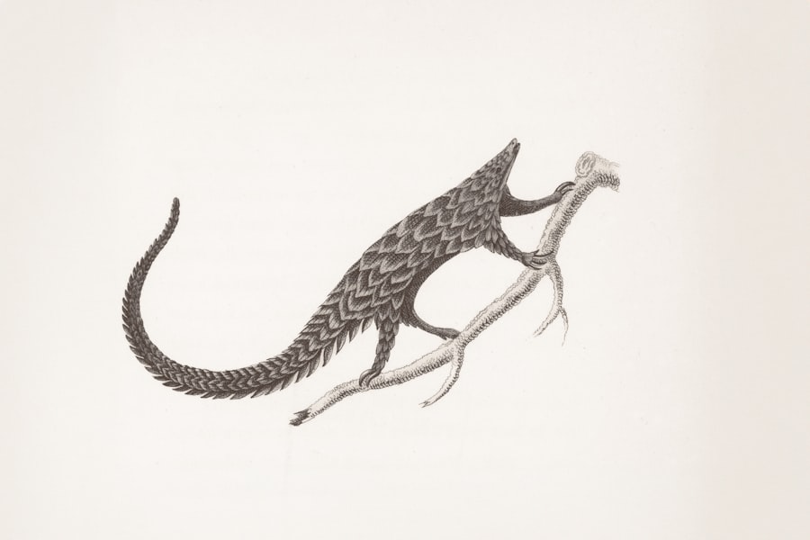 megafauna