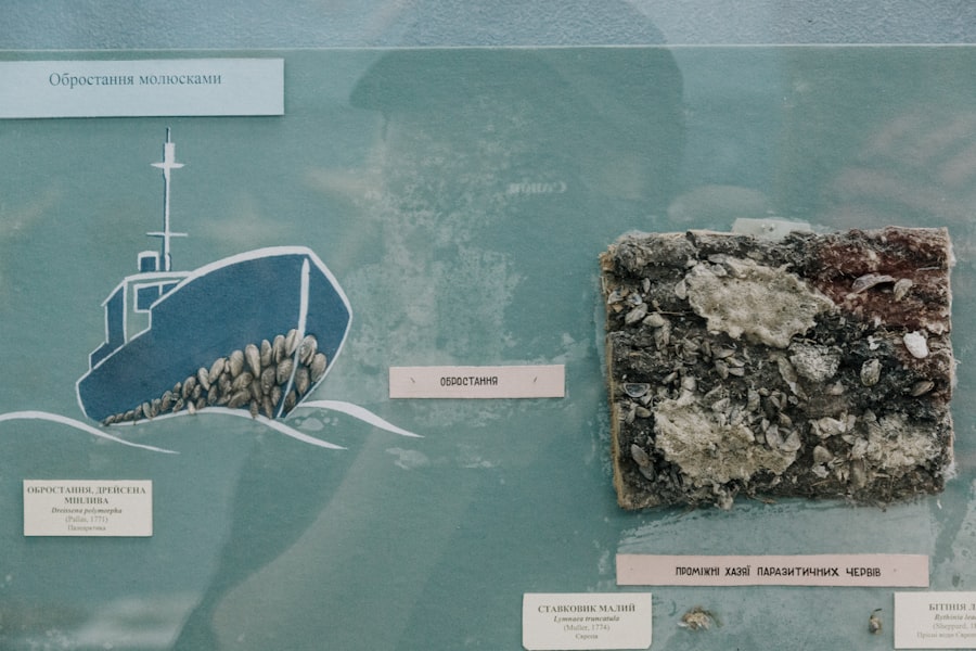 Photo Marine archaeology documentary