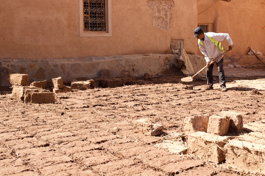 archaeologists