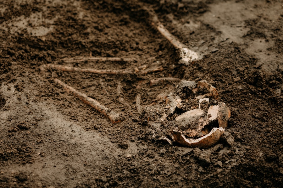 archaeological evidence