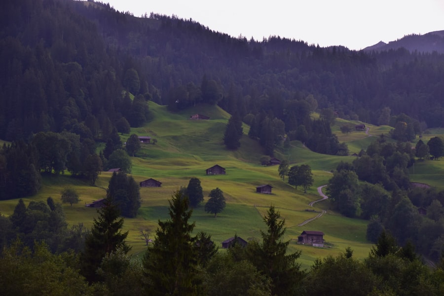 Neolithic farming settlements Europe