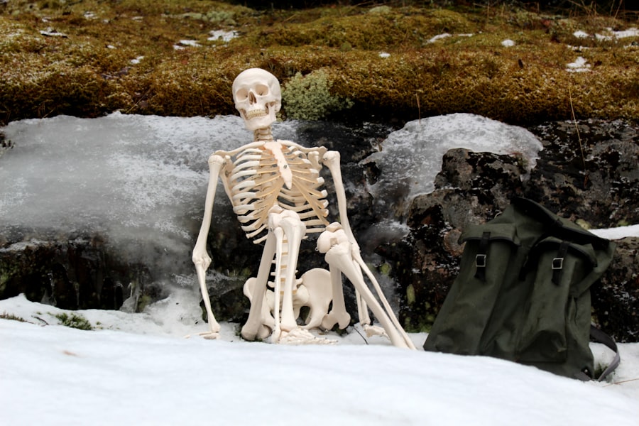 skeletons