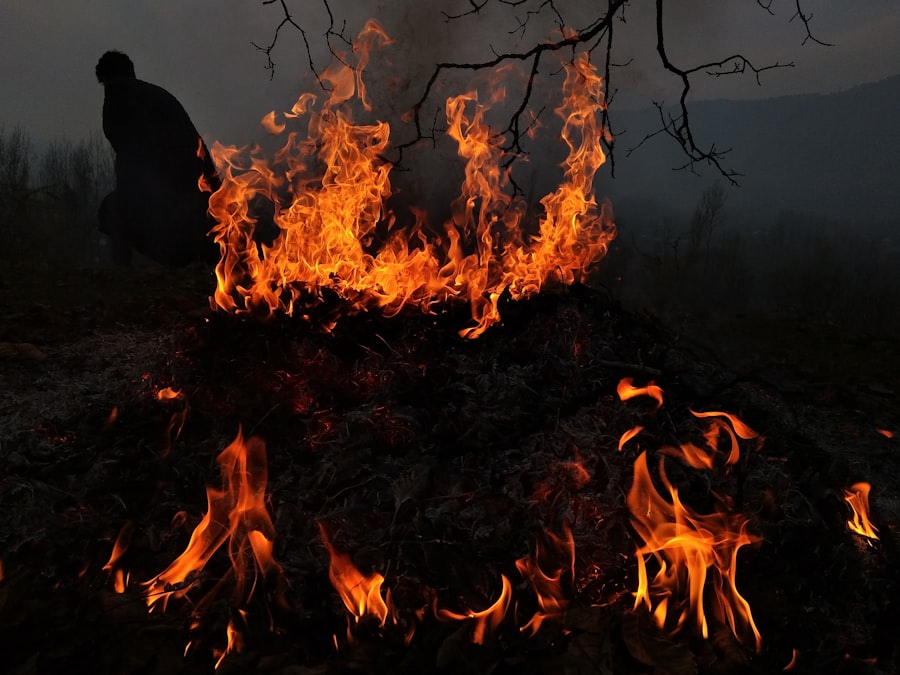Indigenous cultural burning