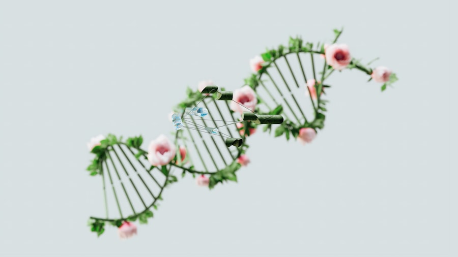Denisovan DNA