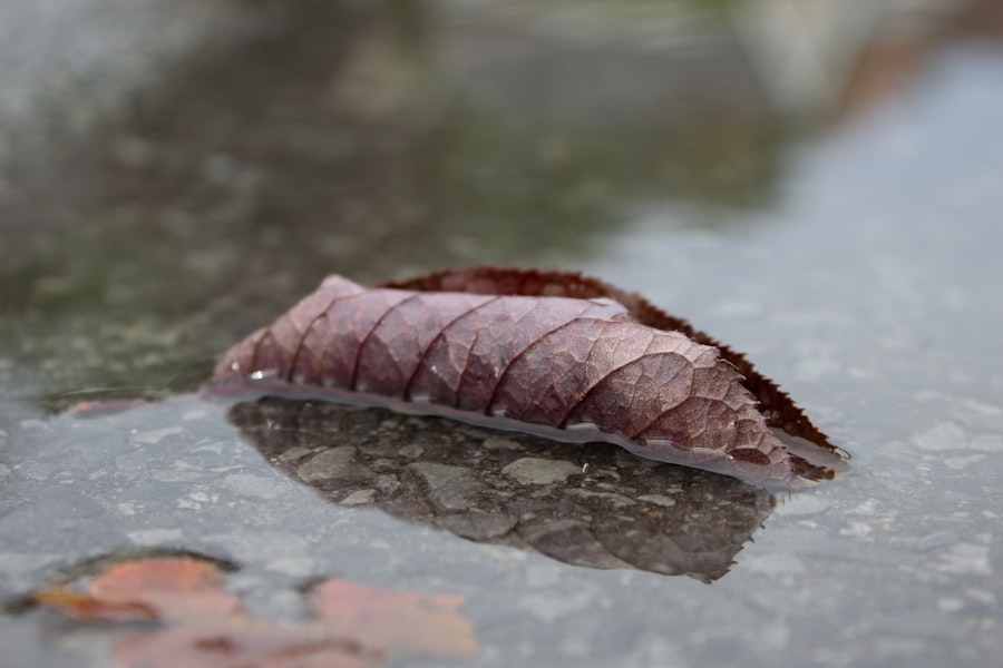 Iceworm