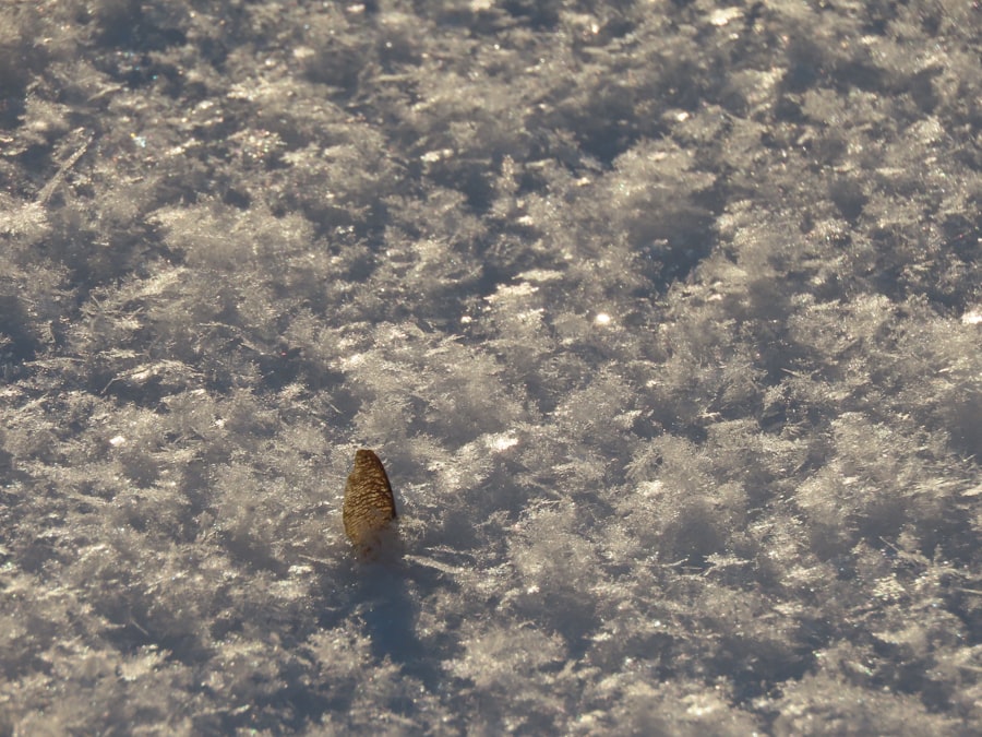 Iceworm