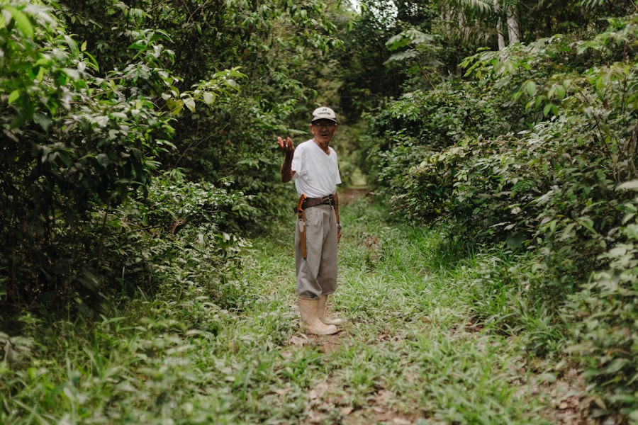 Amazon food forest
