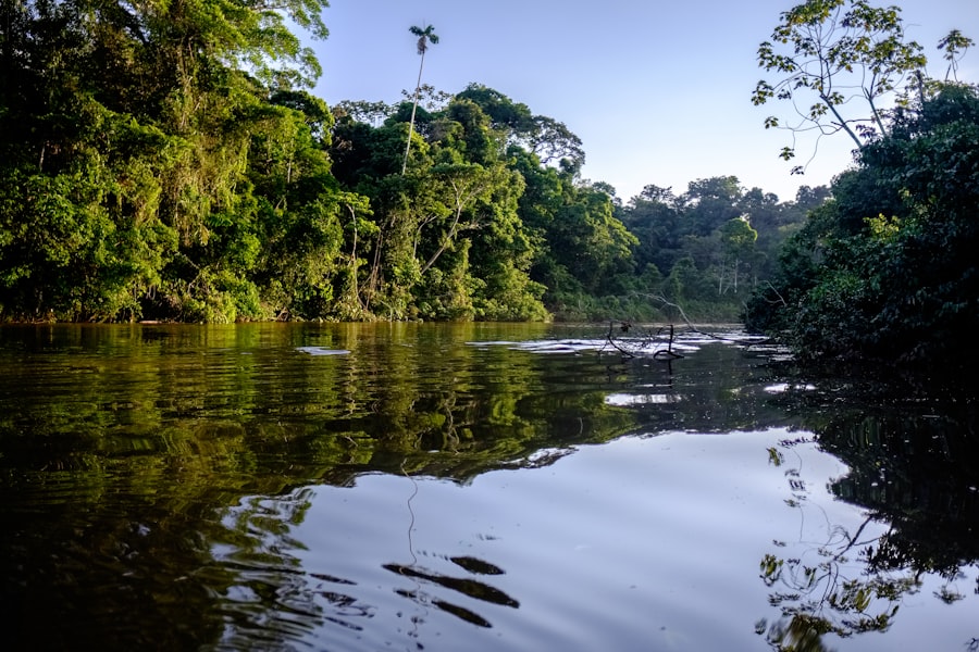 Amazon rainforest human history