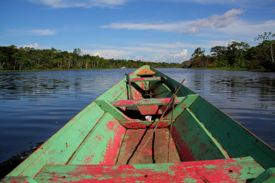 Amazon rainforest