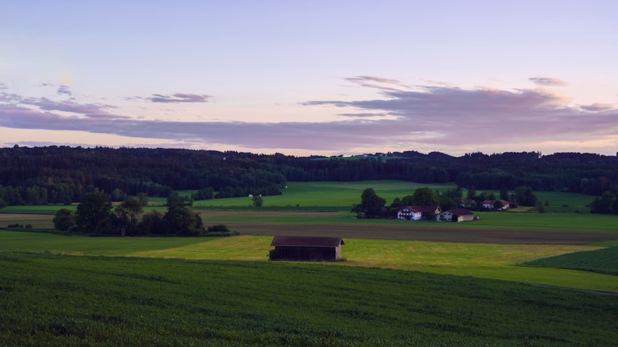 Photo Neolithic farming settlements Europe