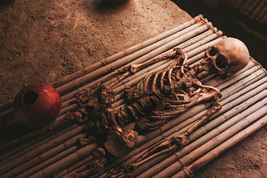 Photo ancient bodies