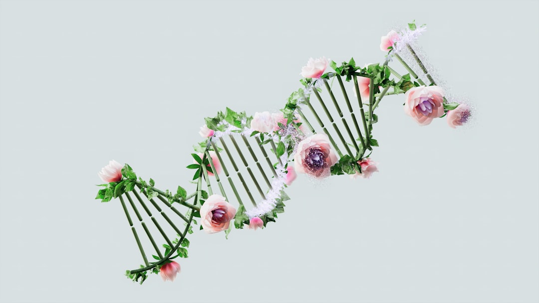 Photo DNA identification