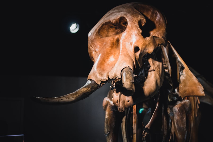 Pleistocene humans North America