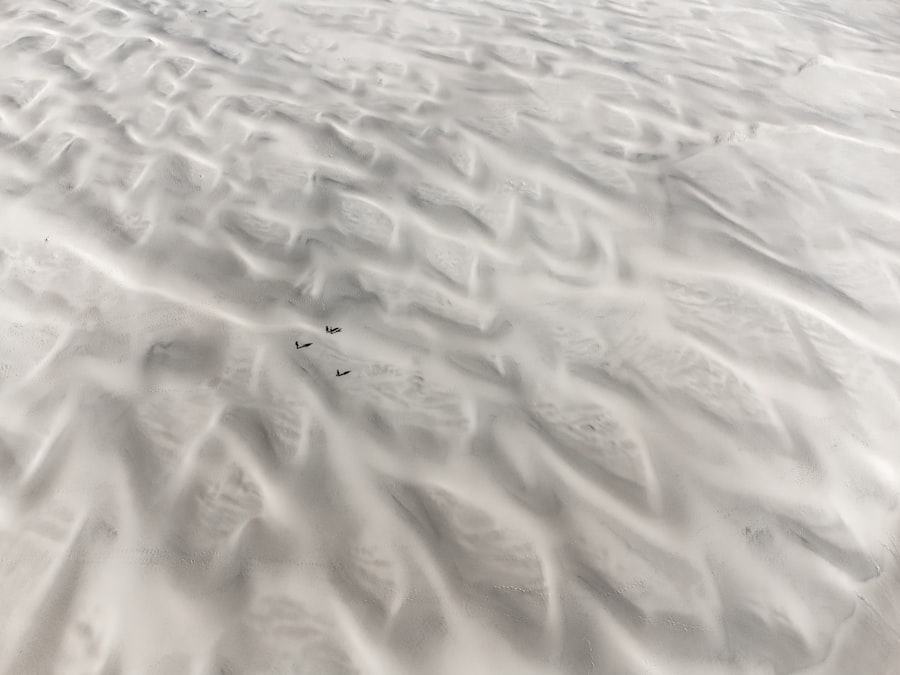 White Sands Ice Age