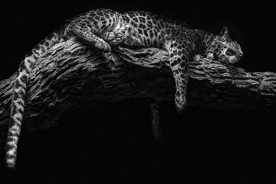 leopard sculpture