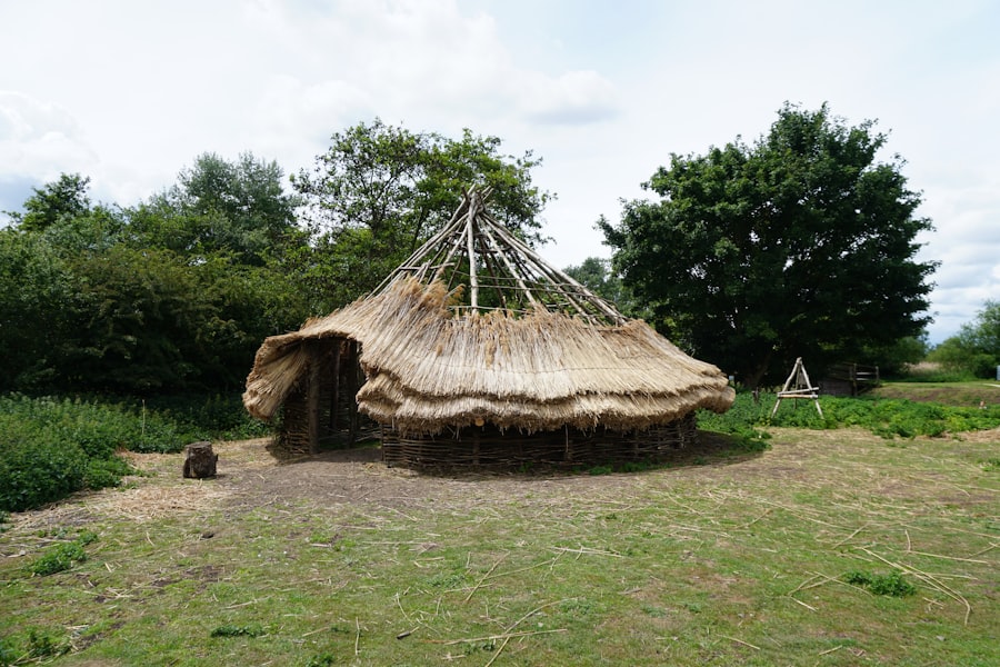 Neolithic communal buildings
