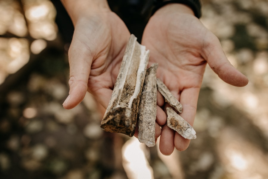 archaeology