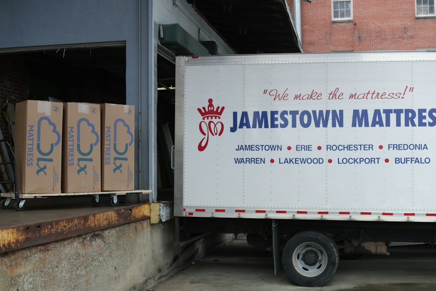 Jamestown skeletons