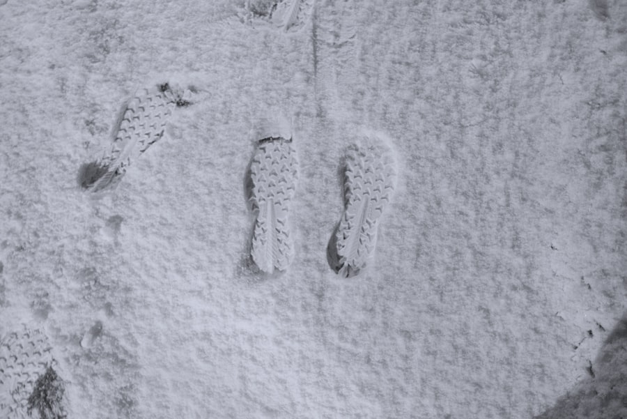 mammoth footprints