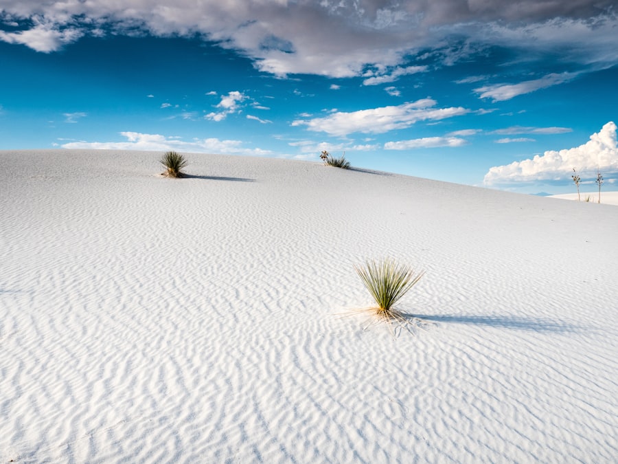 White Sands New Mexico archaeology discovery