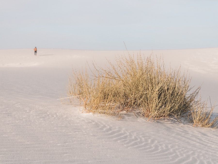 White Sands New Mexico
