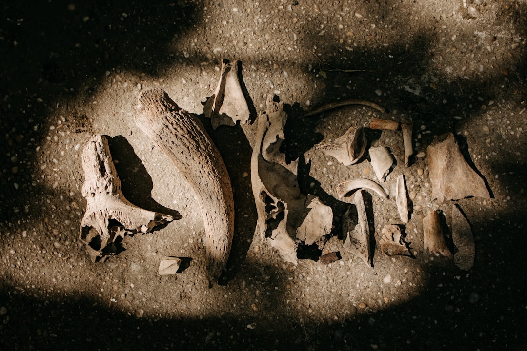 Photo archaeology