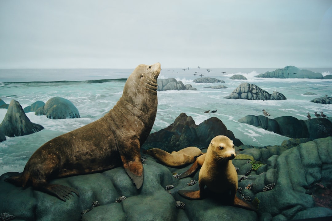 Photo Ice Age animals