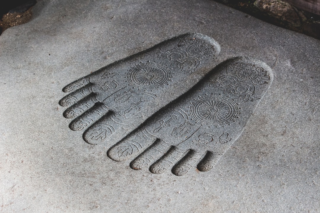 Photo mammoth footprints