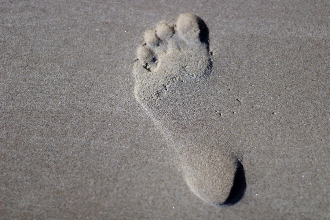 Photo footprints