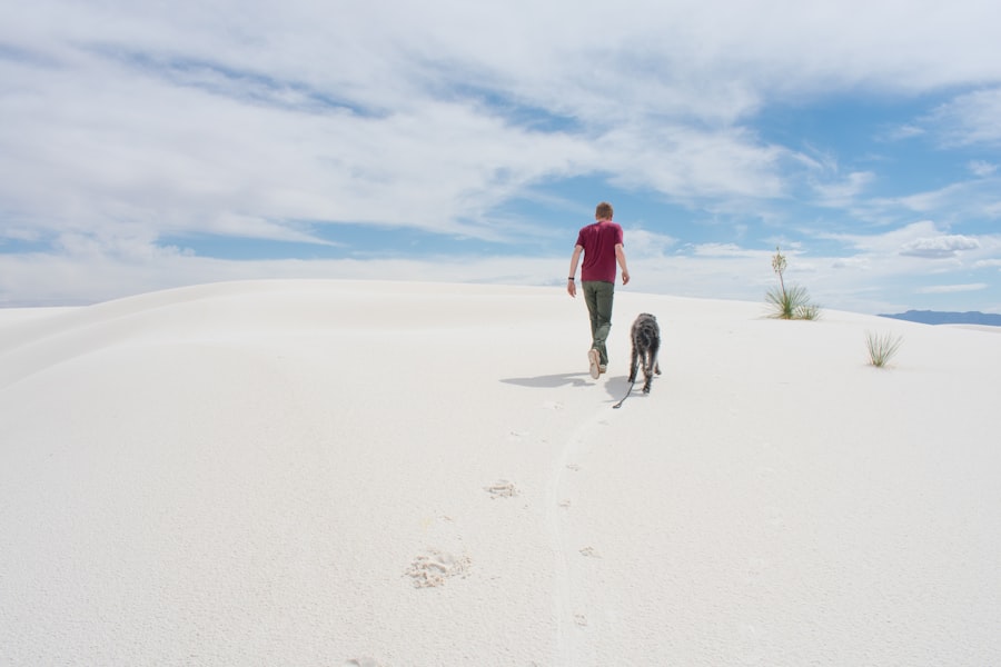 Photo White Sands footprints