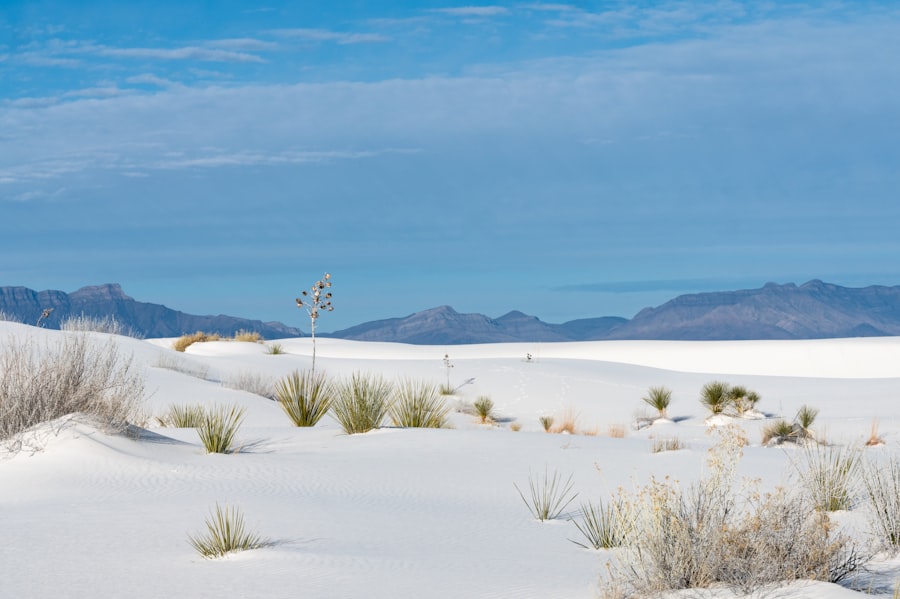 Photo White Sands New Mexico archaeology discovery