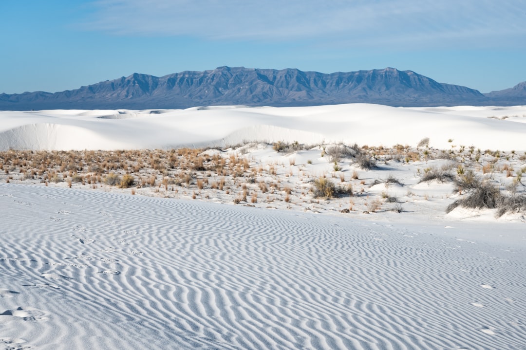 Photo White Sands footprints